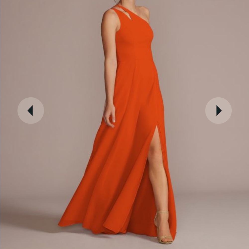 David’s bridal size 12 bridesmaid dress.